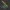 Knife CS