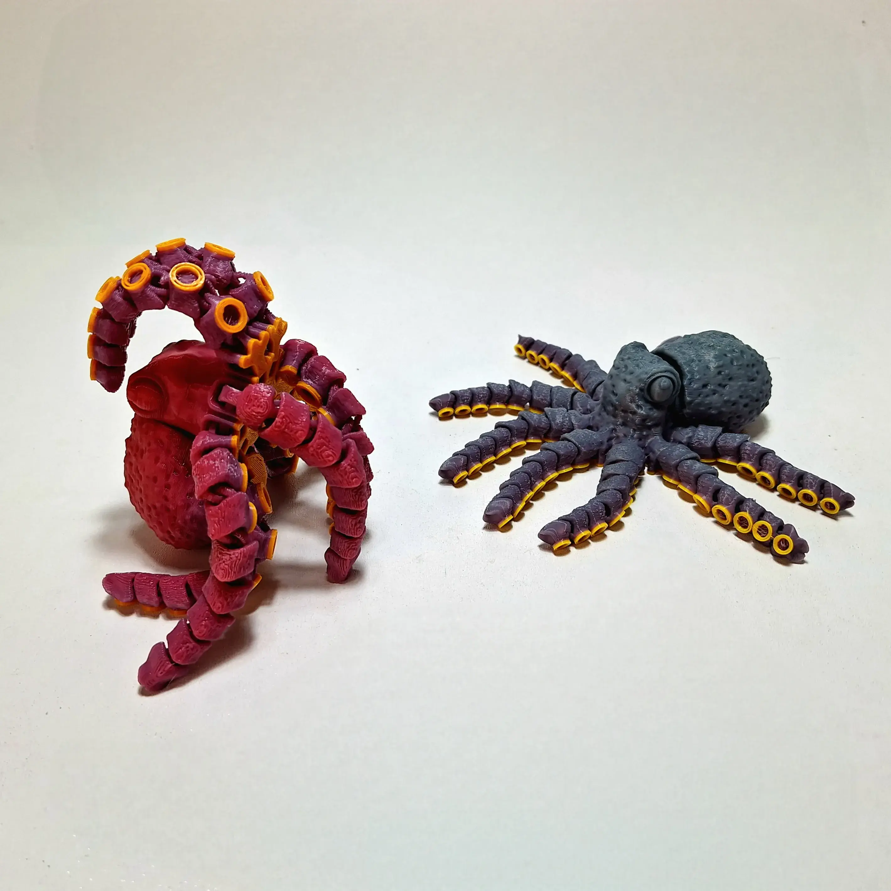 MINI OCTOPUS!