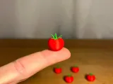 Petite Tomate-1
