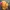 🐌 Low-Poly Gartenschnecke – stylische Deko