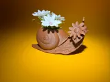 Snail decorative pattern-4