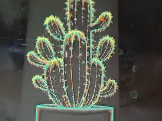 cactus
