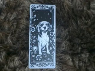 Beagle Dog Floral Night Sky Bookmark