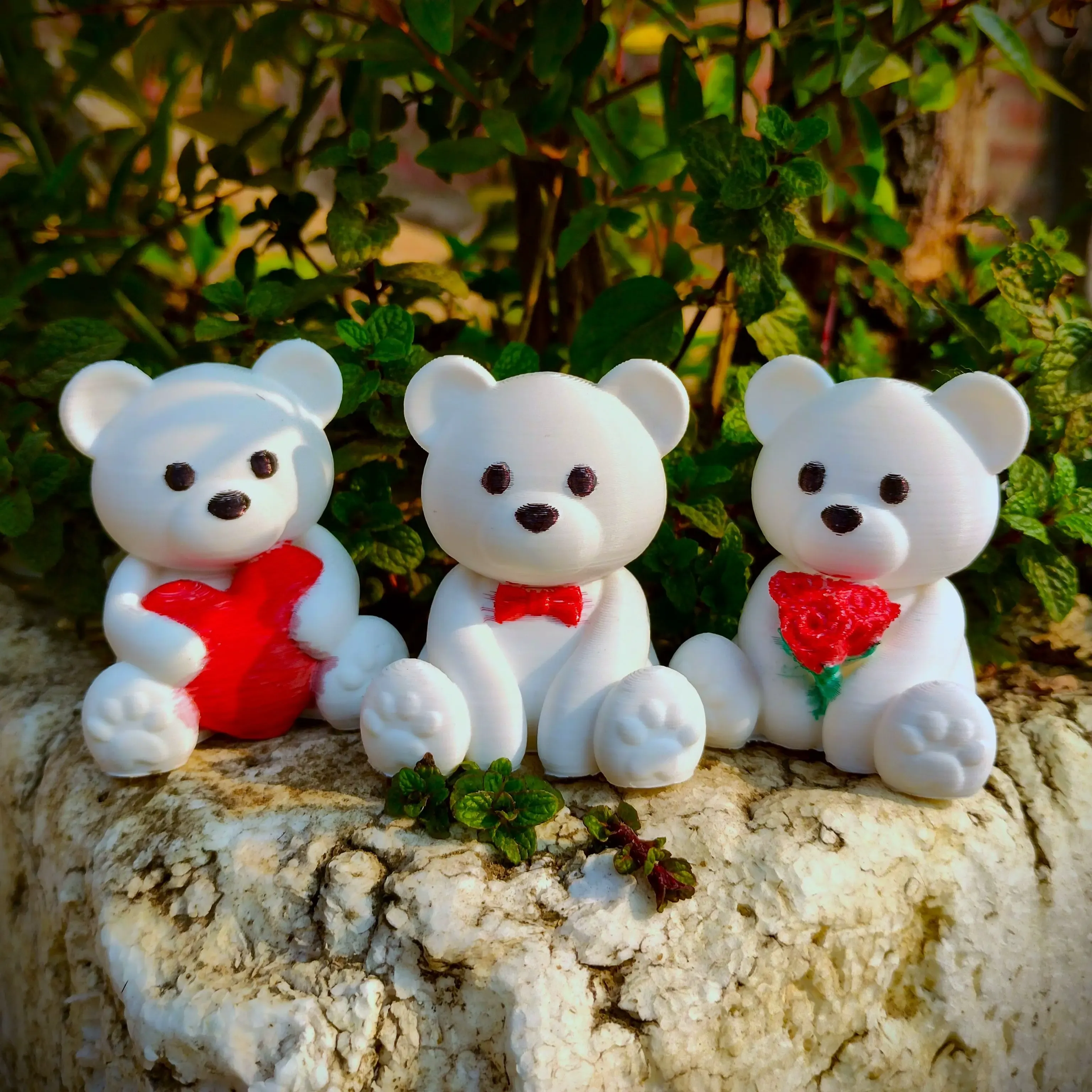 Valentine's Special - Teddy Bear Collection