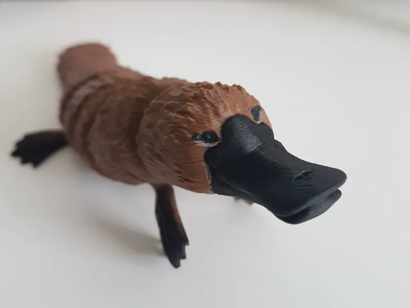 Platypus Flexi