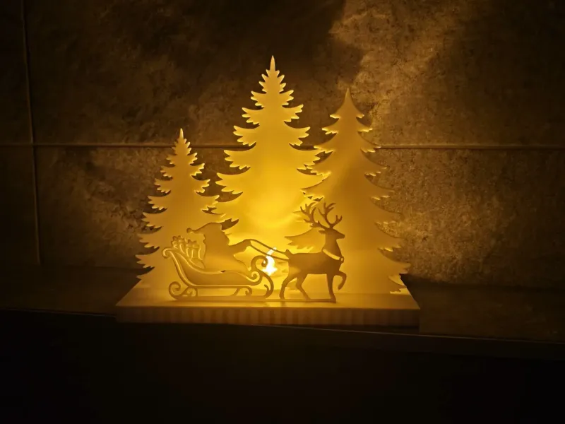 Exhibición iluminada de bosque navideño