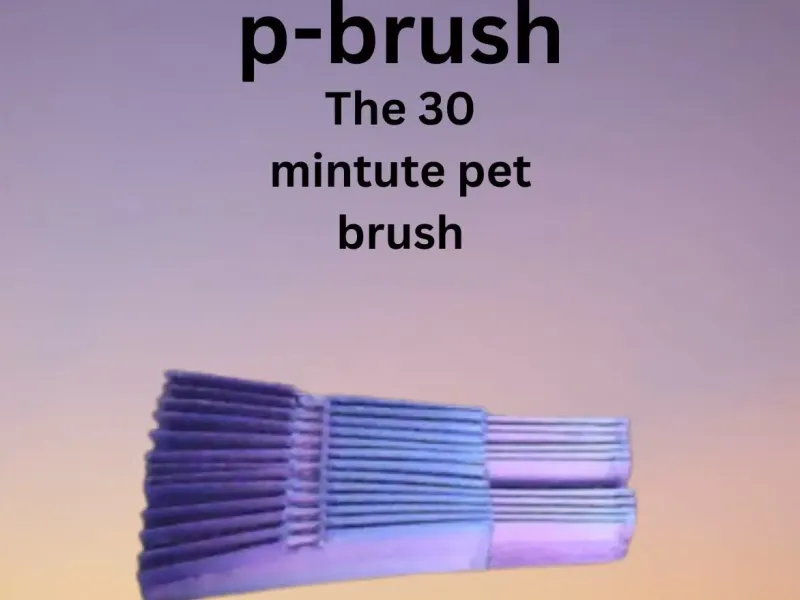 P-Brush, el cepillo para mascotas de 30 minutos
