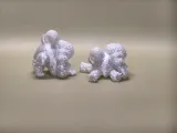 可活动贵宾犬-2