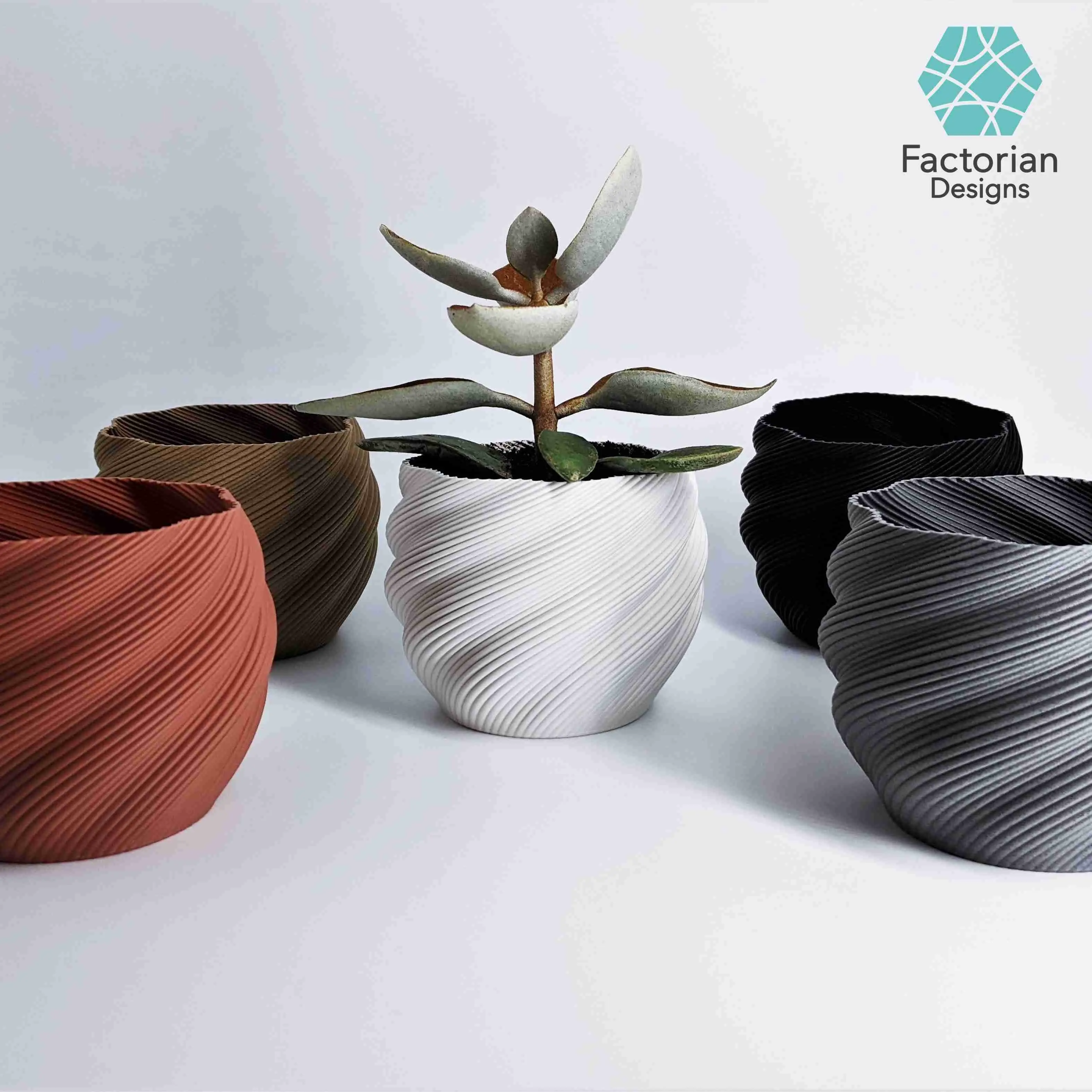 Modern Plant Pot "Diluvian" as succult planters / big pot