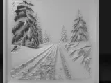 the forest-0
