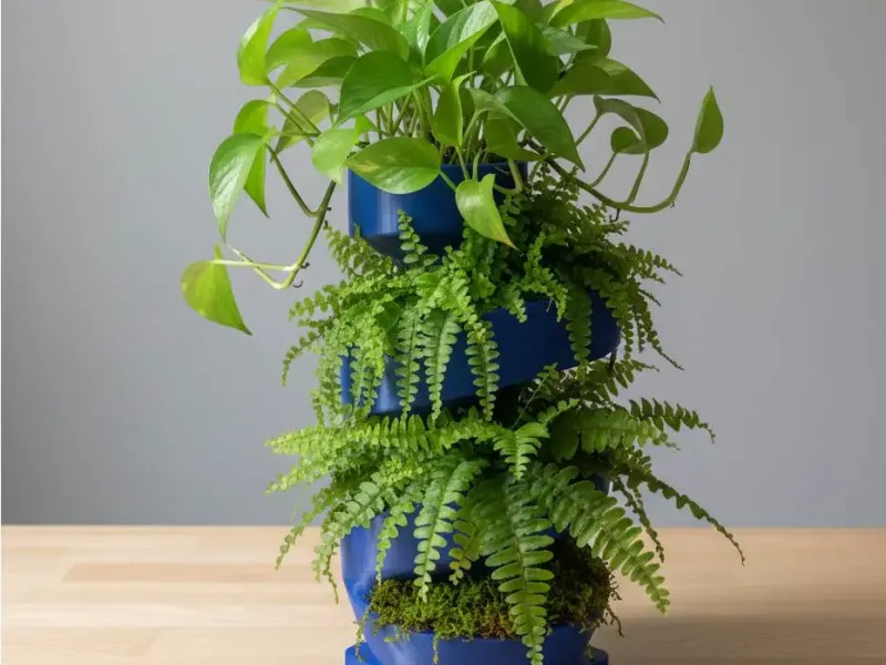 Helical Planter