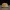 Couple Bear-Omelette_rice_egg_Yier