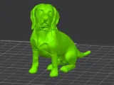 Beagle-4