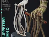 Puppet Hand - Puppet Masters Show - Pre Supported - D&D-0