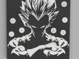 cuadro de vegeta-2