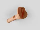 Collapsible and extendable Pussy Baton-1