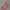 Customizable Christmas Stocking Ornament
