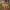 Cute Baby Dragon Planter Pot STL