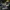 Grabber- Weird Shores-Presupported - Illustrated and Stats -