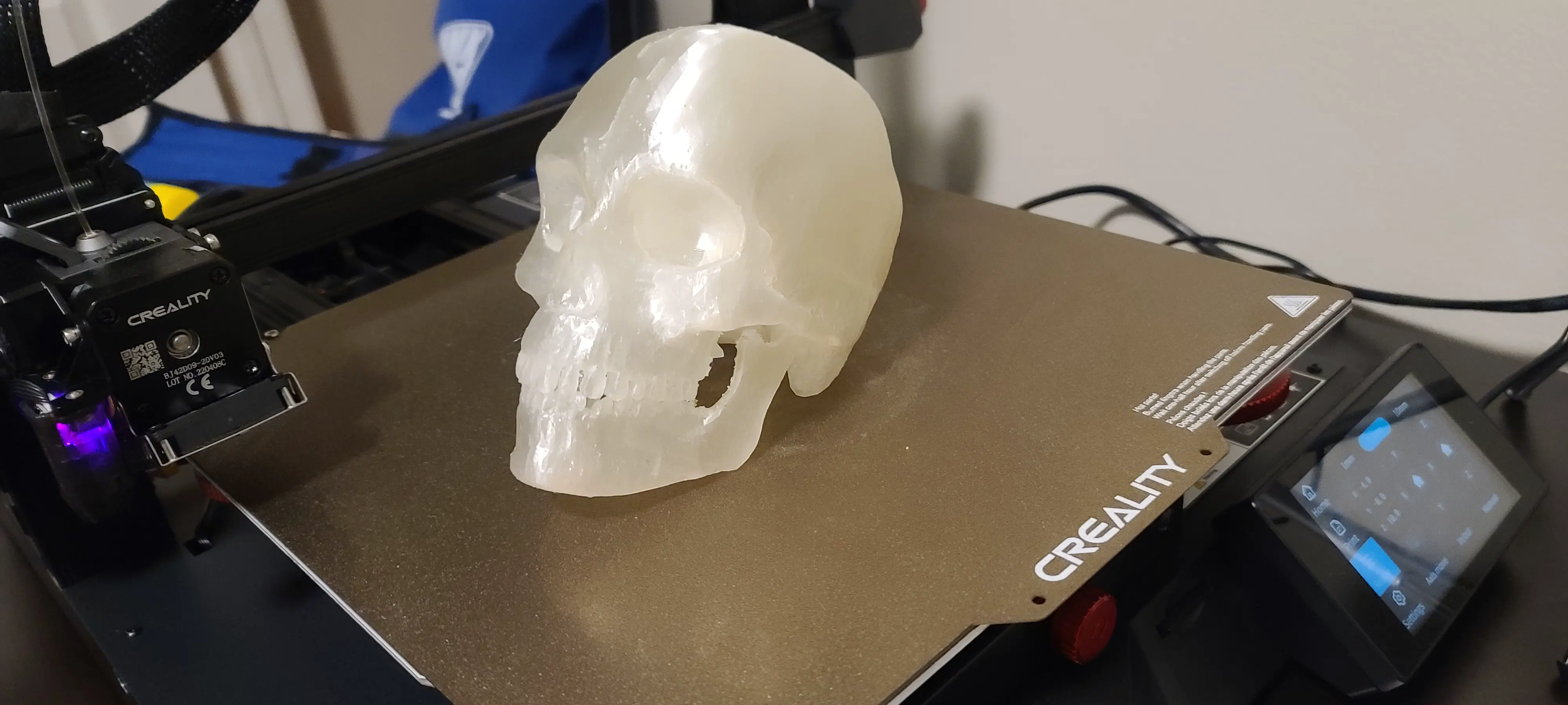 Skull Imported from Microsoft 3D Builder