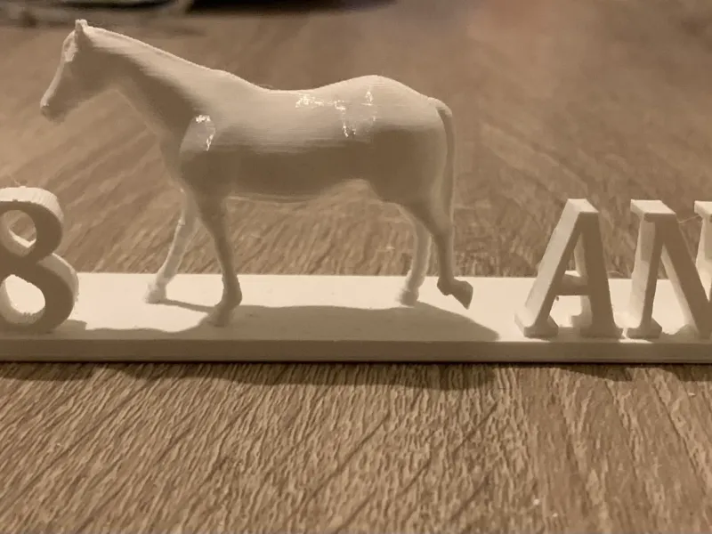 8 jaar oude paardenkaars