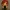 Funko Regina Dinocrisis2