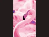 Flamingo - Canvas Multicolor-0
