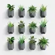 Hanging wall planters