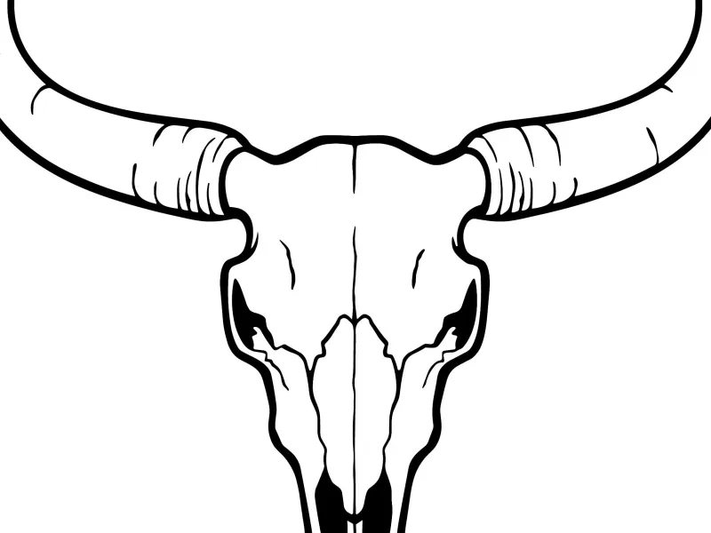Bull skull Stencil / wall art