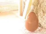 Bunny tale for eggs-5