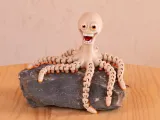 CRAZY OCTOPUS-1