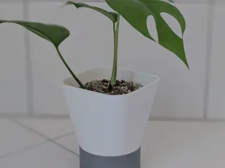 SplitPot Mini