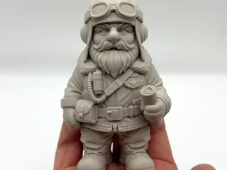 Garden Gnome Pilot