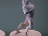 Half transform-1