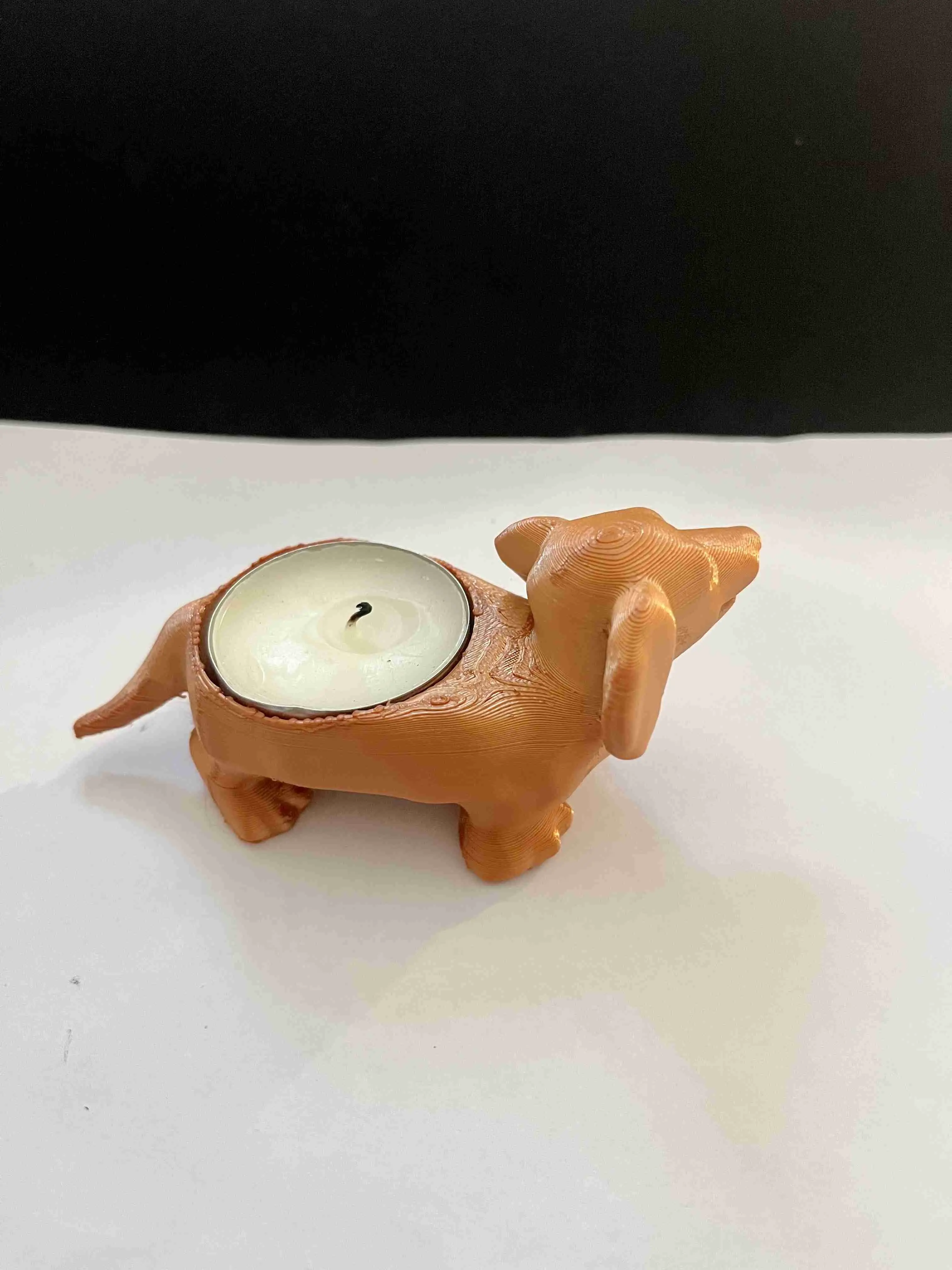Dog candle