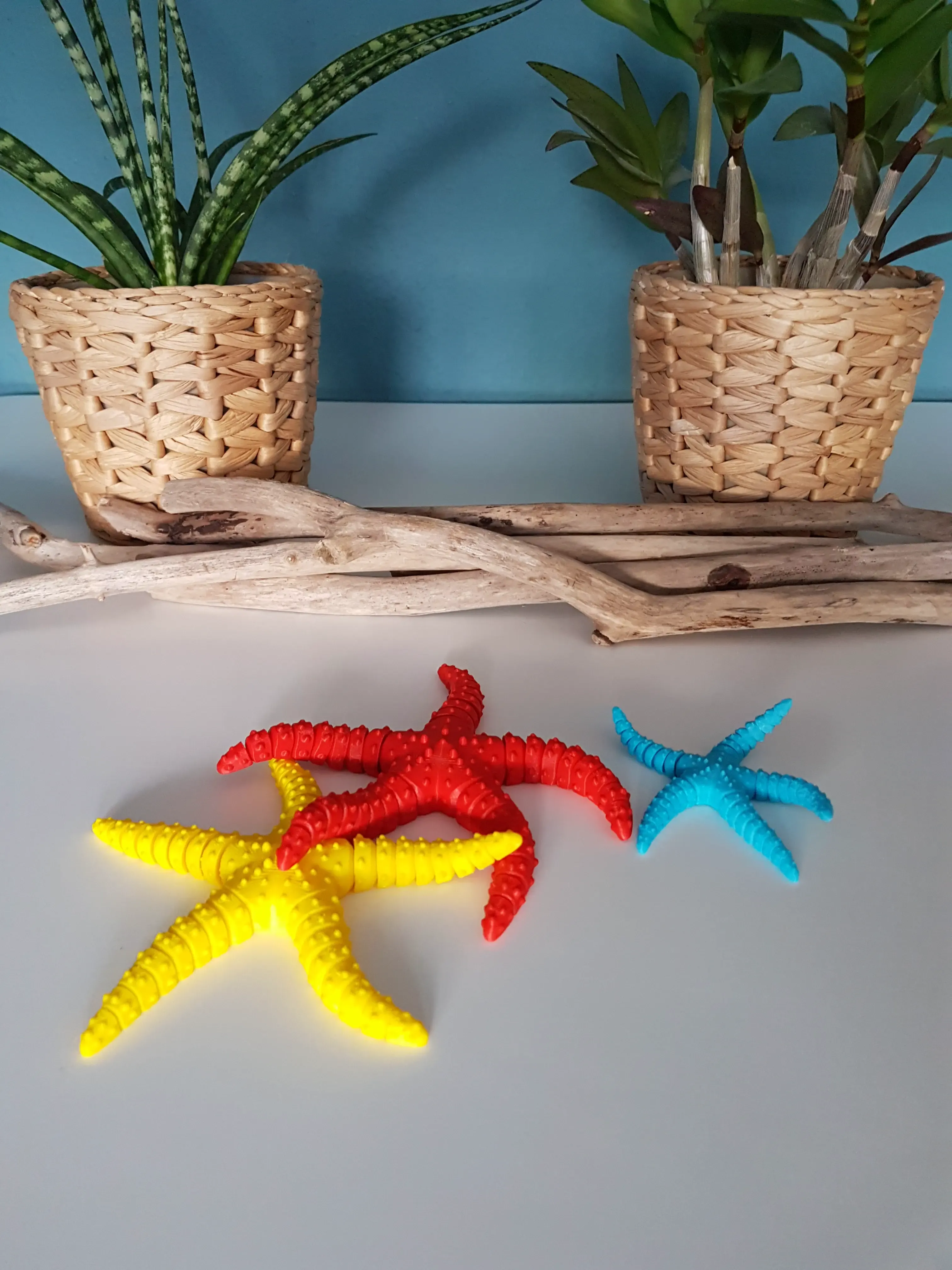 Starfish Flexi