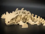 Dino Skeleton Flexi-1