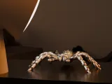 Cyber Tarantula-1