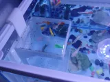 Aquarium Fish Feeder-4