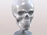 SKULL CHAIR ART DECORATION-2