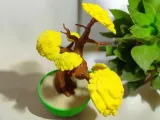 Bonsai Tensei-2