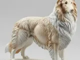 Rough Collie-0