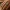 Verdant Helix Laurel Ring – Noah0x03