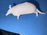 Armadillo-2
