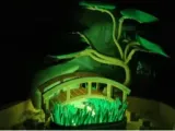 Jardin de pierres-4