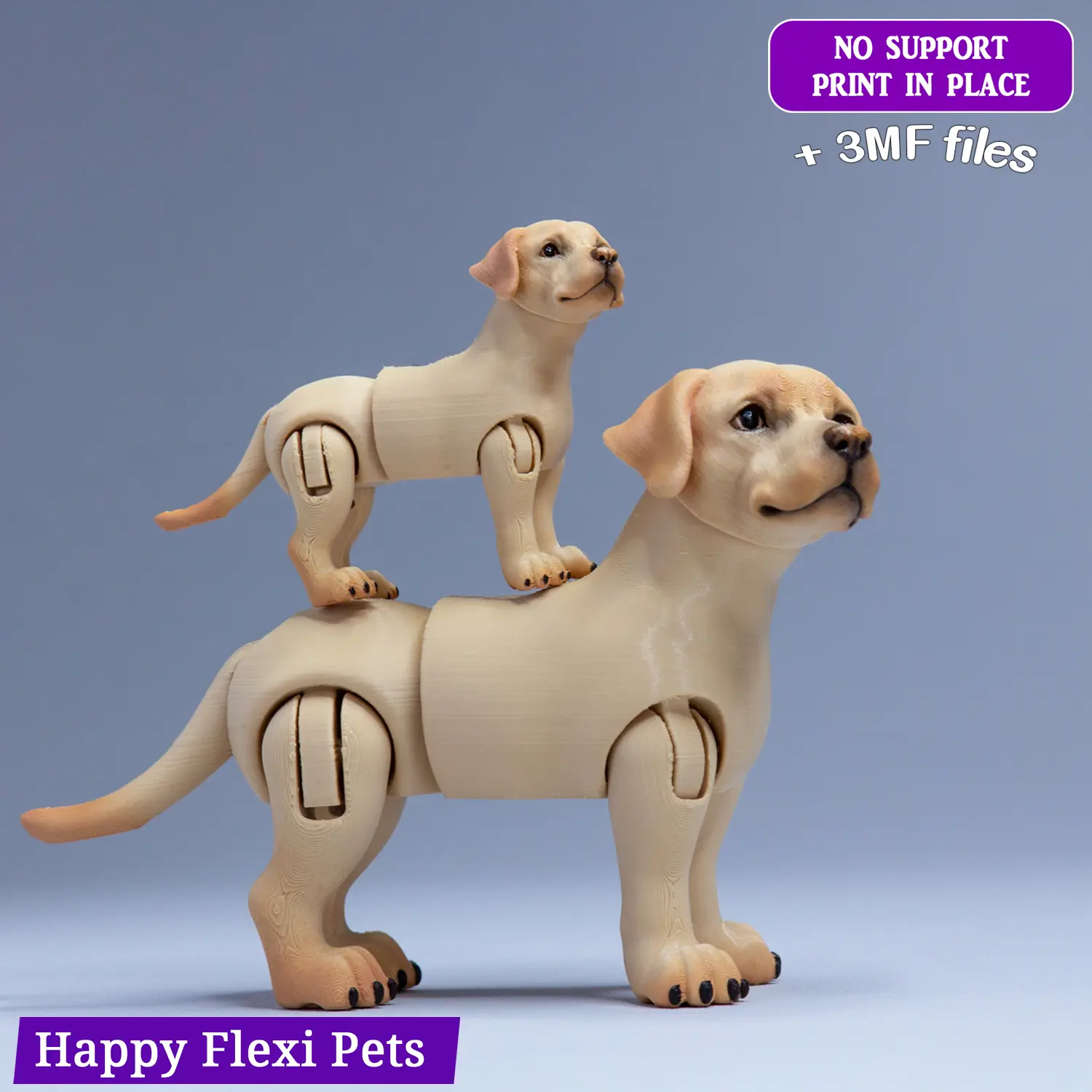 Labrador retriever dog articulated flexi toy (STL & 3MF)