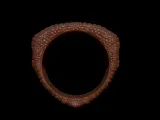 Crocodile Skin Ring-3