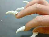 Sky Claw (Fingers + Nails)-3