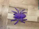 Araignée tarentule-6