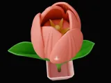 Tulip Flower 3D Model-3